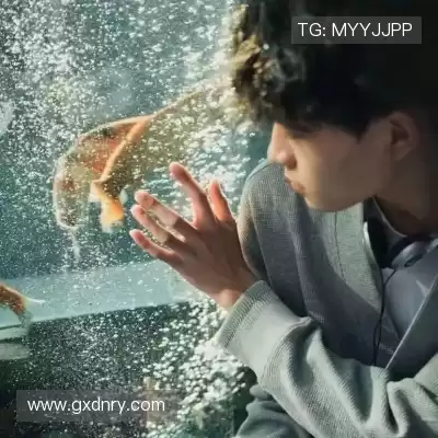 卫华淳